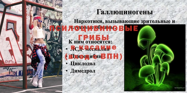 apvp Абинск